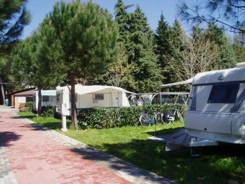 Comfort pitch with private bathroom Trasimeno