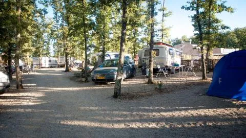 Small  campingplads / telt