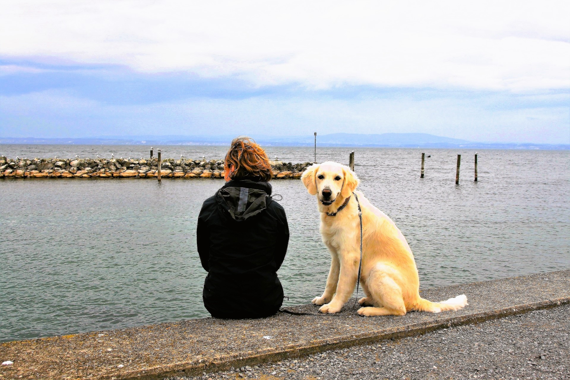 Przyjazny psom nad jeziorem Garda