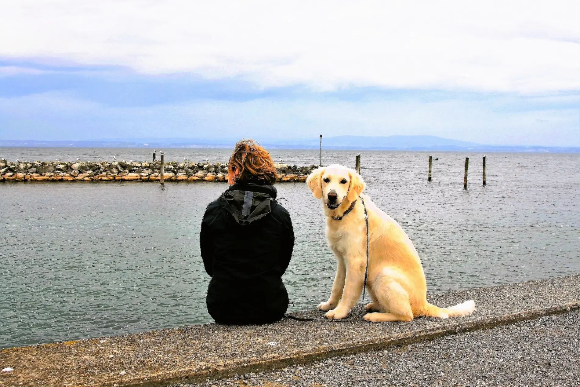 Con il cane sul Lago di Garda