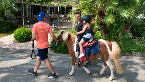 Il Gabbiano Park Residence - pony