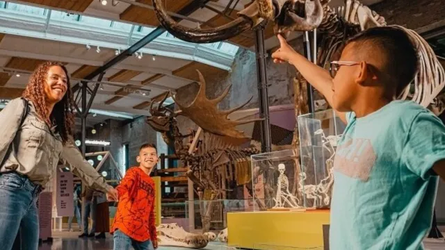 Family enjoys dinosaur skeleton in a museum exhibit.