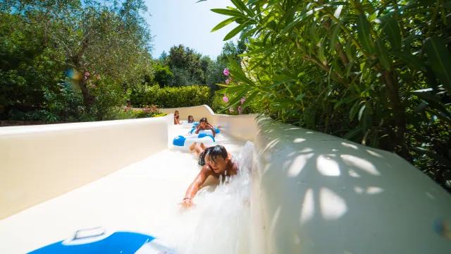 Kids sliding down a water slide surrounded by lush greenery on a sunny day.