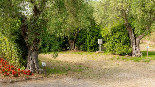 Vallicella Standard pitch