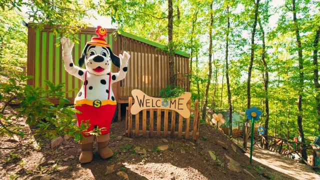 Spotty at Chianti