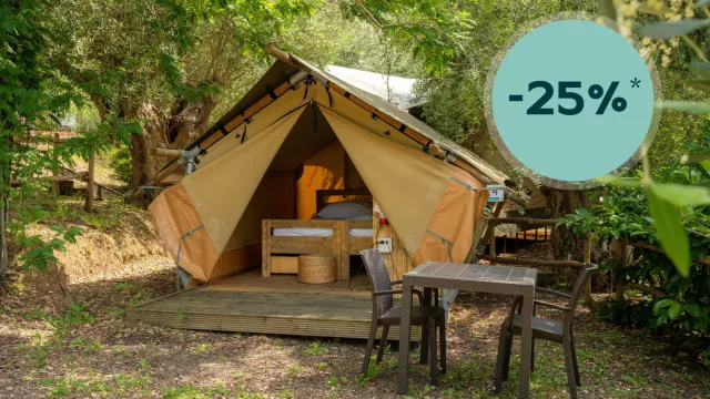 Tent cabin in forest with outdoor table and chairs, sunny setting.