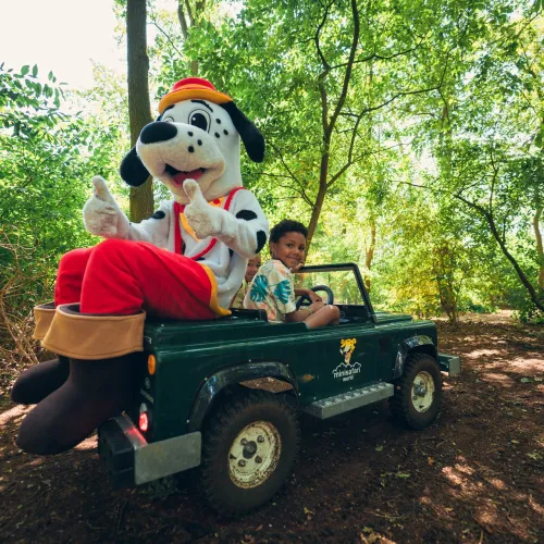 Spotty on a mini Jeep with a smiling child in a lush forest setting.
