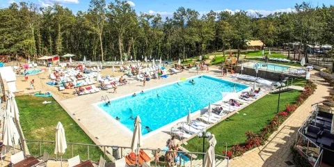 Lively outdoor swimming pool with sun loungers and trees in the background.