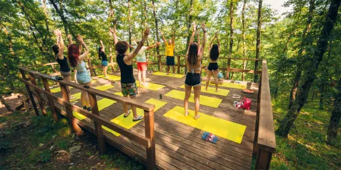 People practicing yoga on a wooden platform in a forest, surrounded by trees.