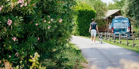 Man walking a dog on a tree-lined path near a parked van.