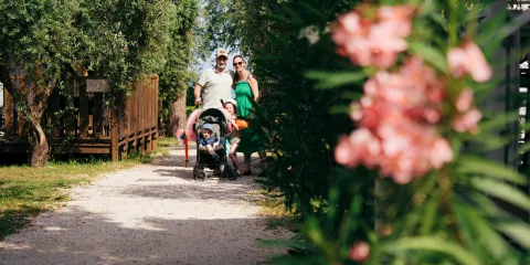 Family with stroller walking on a sunny path, pink flowers and greenery around.