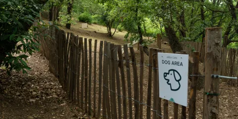 Wooden fenced dog area in a green forest setting.