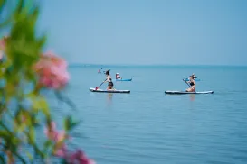 People paddleboarding on calm blue water, with pink flowers in the foreground.