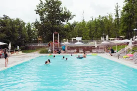 Public swimming pool with people and trees in the background.