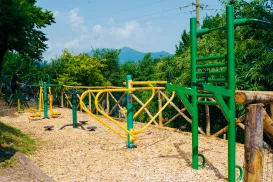 Outdoor fitness equipment in a park setting with trees and mountains.