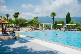 Outdoor pool with people swimming, surrounded by palm trees and mountains.