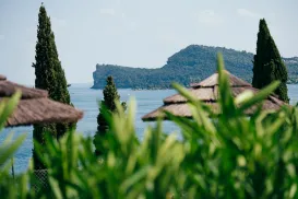 Lush greenery with distant mountains and blue water backdrop.