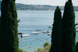 Boats on a serene lake framed by tall cypress trees.