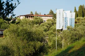Flags near olive trees with a building in the background.