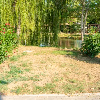 Standard Laguna Pitch Trasimeno_cover