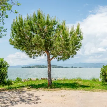 Standard Lake Pitch Trasimeno_cover 