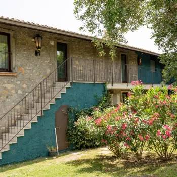 Stone house with stairs, green bushes, and flowering shrubs.