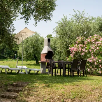 Outdoor patio with barbecue, table and chairs, surrounded by trees and pink flowers.