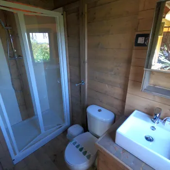Rustic bathroom with a shower, toilet, sink, and mirror; wood-paneled walls.