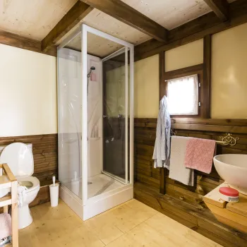 Rustic bathroom with shower, sink, and toilet; wooden walls and floor.