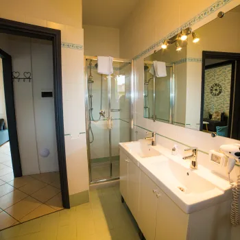 Bathroom with double sink, mirrors, and glass shower.