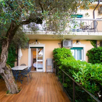 House patio with wooden deck, surrounded by greenery and an olive tree.