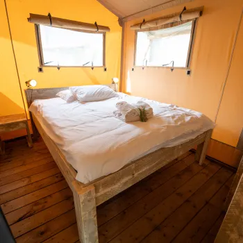 Cozy bedroom with a large bed, orange walls, and soft natural lighting.