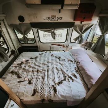 Trasimeno mini Schoolbus bedroom