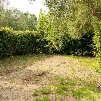 Vallicella Standard pitch