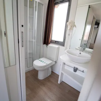 Modern bathroom with shower, toilet, and sink.