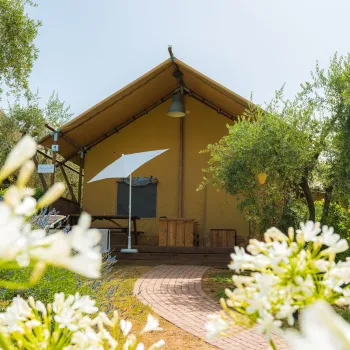 Glamping Weekend Safari Lodge 