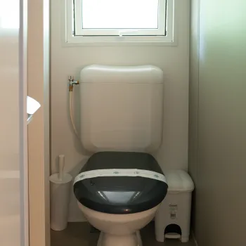 White toilet with a black seat below a window in a small, light-filled bathroom.