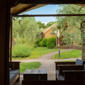 Porch view of a sunny garden path, chairs, and greenery.