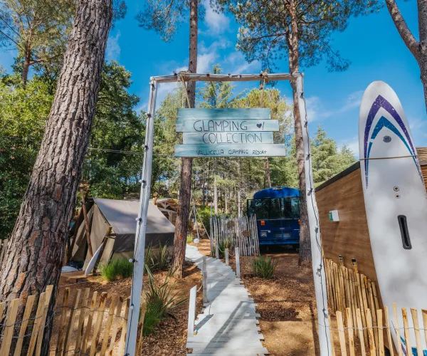 Camping site with tall trees, tents, blue bus, and surfboard under a clear sky.