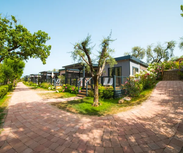 Pathway forks in lush park with small modern houses under a clear blue sky.