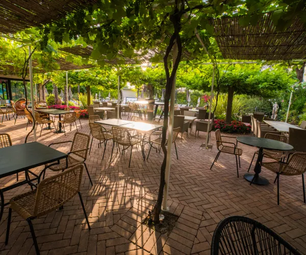 Outdoor café with tables, chairs, and vine-covered pergola in dappled sunlight.