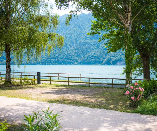 Pathway with trees, lake, and mountains in the background.
