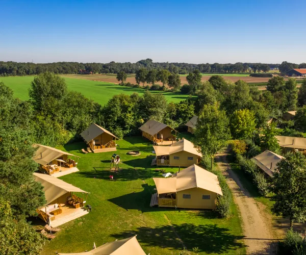 Aerial view of tents and cabins in a green, wooded campground.