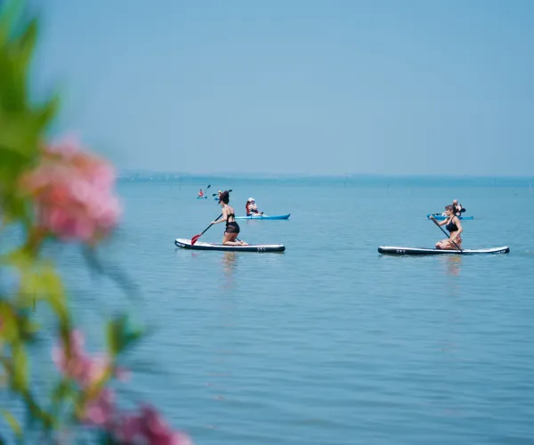 Three people paddleboarding on a calm lake under a clear blue sky, pink flowers in foreground.