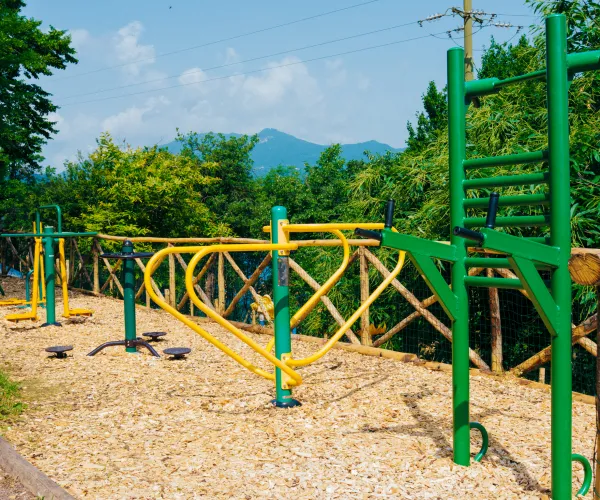 Outdoor gym equipment in a park with trees and blue sky.