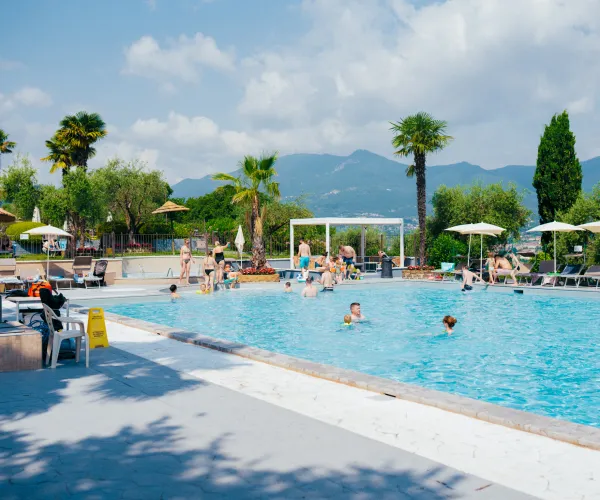 Bright sunny day, people swimming in a pool surrounded by palm trees and mountains in the distance.