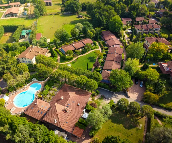Aerial view of a residential area with greenery and a pool.