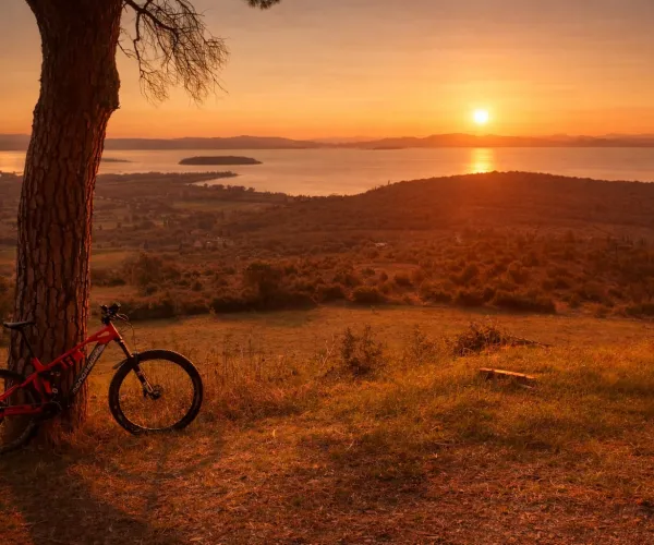 Bicycle leaning on tree, overlooking sunset and hills.