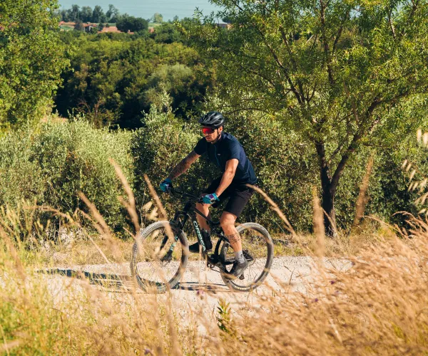 Cyclist on a dirt path, surrounded by lush greenery and distant hills.